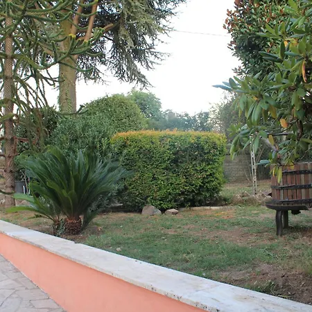 Bed and breakfast Il Sottosopra *