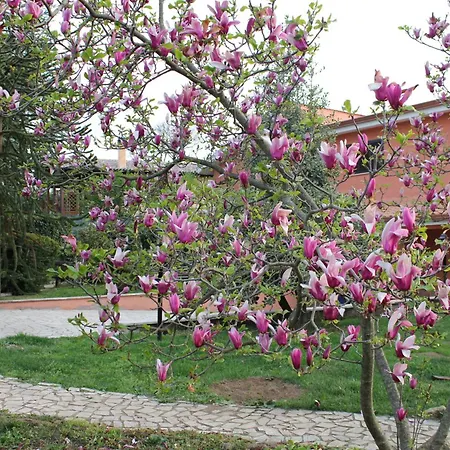 Bed and breakfast Il Sottosopra Labico