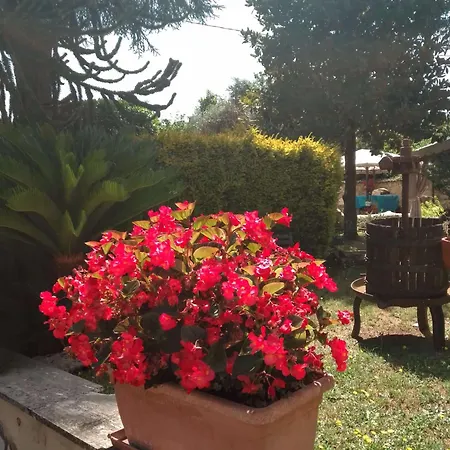 Il Sottosopra 3*
