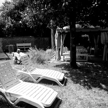 Il Sottosopra Labico