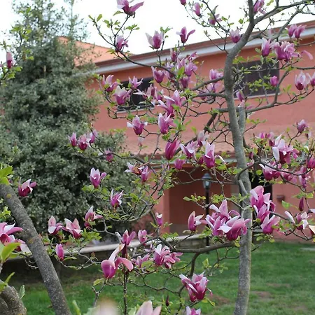 Il Sottosopra