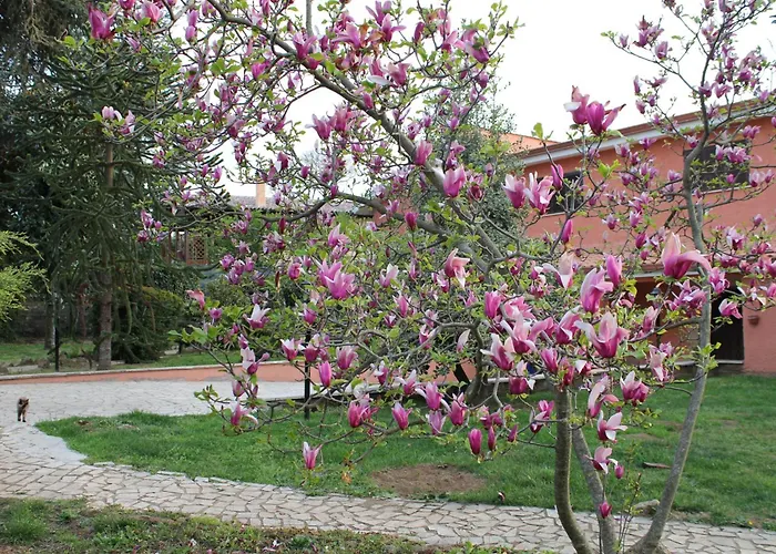 Bed & Breakfast Il Sottosopra Labico